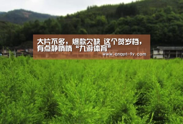 大片不多,爆款欠缺 这个贺岁档,有点静悄悄“九游体育”(图1) 九游体育