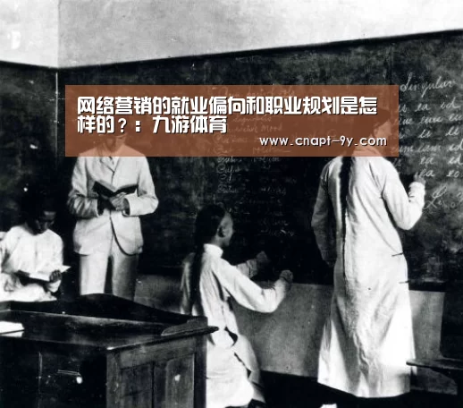 网络营销的就业偏向和职业规划是怎样的?:九游体育(图3) 九游体育