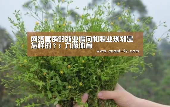 网络营销的就业偏向和职业规划是怎样的?:九游体育(图1) 九游体育