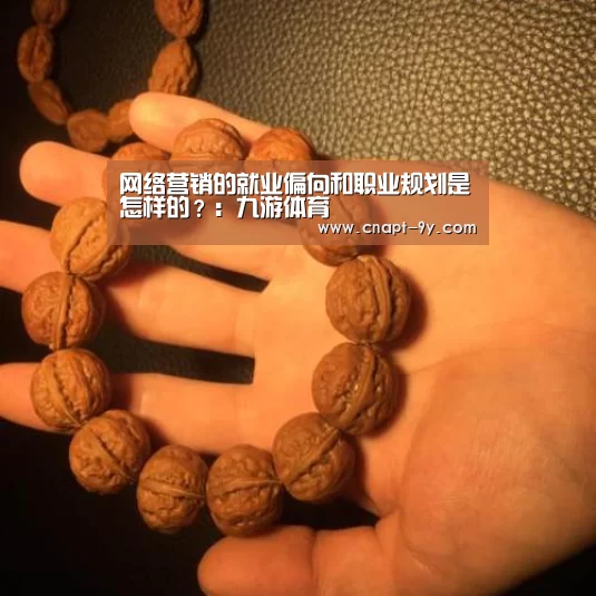 网络营销的就业偏向和职业规划是怎样的?:九游体育(图2) 九游体育